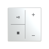 ESP RF/DIN module