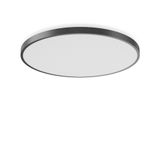 TRIONA round, 61 W, 6000 lm, 827-865, anthracite, smart+free Ceiling a