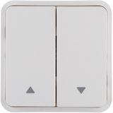 Rocker 2gang for push-button BCU, imprint 2 arrows right/left, polar w