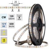 LED strip SMD2835 CW, 120LED/m, 9,6W/m, DC 12V, 630lm/m, CRI90, IP54, 8mm, 5m