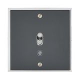 Art d'Arnould universe Two-way memory or illuminated lever switch 10A - crystal