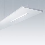 ARENA LED6500-840 HFSX TW WL6 EDP - Suspended luminaire