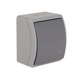 VW-7L Koala Universal/Two-Way Switch / without printed pictogram / with illumination / surface mounted IP44 pop/graphite VW 157-58
