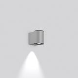 Nadelspot PRO, 12 W, 1150 lm, 830, silver, DALI Wall luminaires, L 100