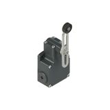 Position switch with adjustable roller lever