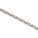 LED STRIP 24V DC CW 5m ROLL 24W/m IP20