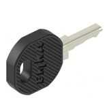 2 DOOR AND PANEL KEYS. LINKEO