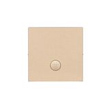 Single button for switches and push buttons, champagne matt