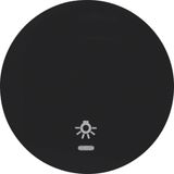 Rocker with lens and light symbol, R.1/R.3/R.8, black