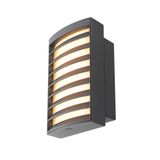 RASTERLYS WL, wall-mounted light, rectangular, 2700/3000K, 14W, PHASE, 70°, anthracite