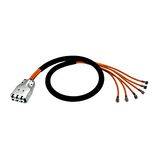 H.D.S. / preLink Trunk system, PoE+, grey, 2.0m
