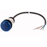 C22-L-B-24-P65 Indicator light, Flat, Cable (black) with non-terminated end, 4 pole, 3.5 m, Lens Blue, LED Blue, 24 V AC/DC