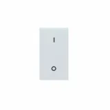 20AX 1 way double pole switch