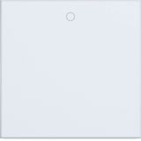 Single rocker, imprint "0", A.x/C.x, light white matte