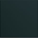 GALLERY BUTTON TILE WITH CORD 2 F. NIGHT