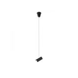 1F 2m wire suspension black