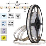 LED strip SMD2835 CW, 120LED/m, 9,6W/m, DC 12V, 630lm/m, CRI90, IP68, 10mm, 5m