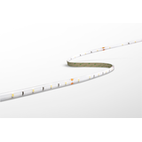 STRIP LED ACCENTO