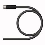 Supply Cable - M12 Power Connection Cable   RKP46PTB-2/TXL