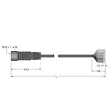 Supply Cable for Multiple Passive Junction Box, TPU Connection Cable   CKCM12-11-5/TXL
