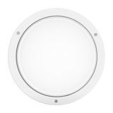 BLIZ ROUND 30 LED 26W 830+ NOOD 3H WHITE