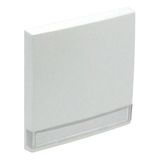 ROCKER F/SWITCHES W/IDENT CARD ICE