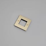 1G WALL PLATE / HORIZONTAL / NO INFILLS / WITH LOGO / BRASS