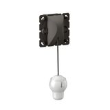 10AX 2 WAYS PULL-CORD SWITCH