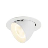 NUMINOS® GIMBLE L 4000K 20° white/white