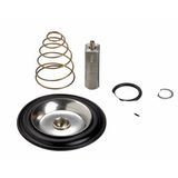 Spare part EV220B 25BD/SS EPDM