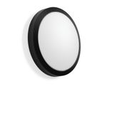 ROUNDED, 9,5...26 W, 1100...3100 lm, 830, 840, anthracite, DALI Ceilin