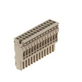 Z-series, Plug-in connector, dark beige, Direct mounting