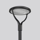 GONIA, 65 W, 5350 lm, 730, anthracite, DALI Pole top luminaires, D 500