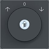 Central blind switch key ref. 0-position A.x/C.x anthracite