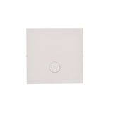 Single button for switches and push buttons, light gray matt