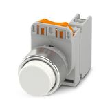 PHT22-FRH-WH/PT10 - Button