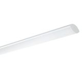 MO SLIM 1.5ft 5500/840 DALI M3hAT IP20