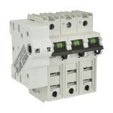 CCP2SL-3-100CF 3 Pole Comp Ckt Protect 100A