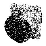 Inbouwcontactdoos 63A 4P 9H 230V IP44 TA