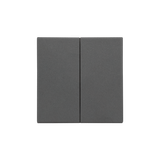 Double button for switches and push buttons, graphite mat