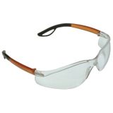Glasses with clear lenses (in pouch)