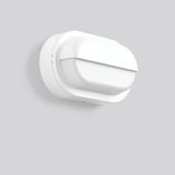 Alu-Lux oval, 12 W, 290 lm, 830, white, on/off Wall luminaires, L 258 