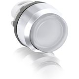 MP4-31C Pushbutton