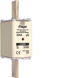 NH fuse NH1 gG 690V 224A with twin indicator and live gripping lug