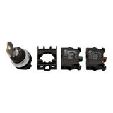 Set of Key operated Button 2 positions Latching , 1NO + 1NC