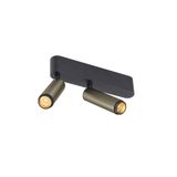 GRIP! S surface mount. ceiling dbl PHASE 3000K 21W 29ø cu/bl