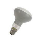 B22d R80 130V 60W Frosted