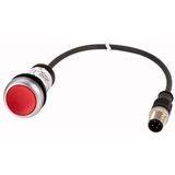C22-DRL-R-K01-24-P3 Illuminated pushbutton actuators, maintained, red, 24v, 1 N/C, with cable 0.5m and M12A plug