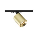 DARIO for 1-circuit tracks brushed brass 230V LED GU10 9W