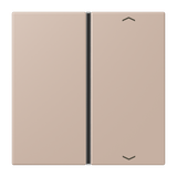Cover 1-gang with symbols LC32131 LC401TSAP240